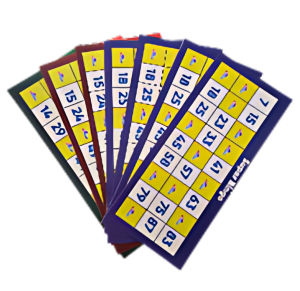 BINGO SUPER NA CARTELA - 2302-2